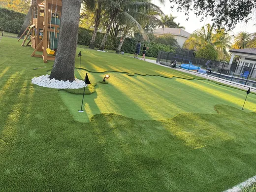 hero front yard turf
