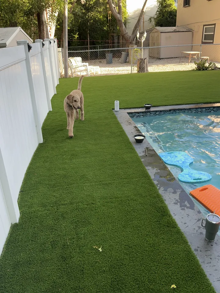 Pet-friendly poolside turf