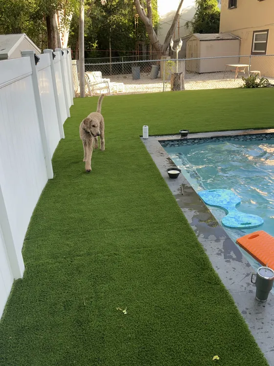 Pet Turf project by Govorex