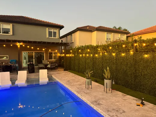 residential backyard turf