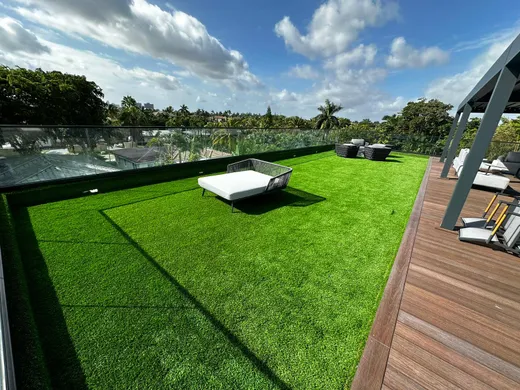 residential backyard turf