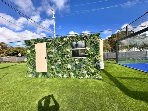 residential backyard turf