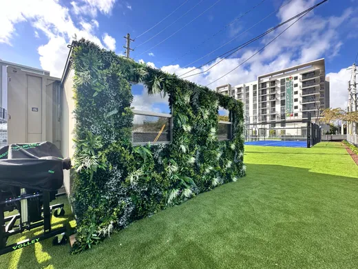 residential backyard turf